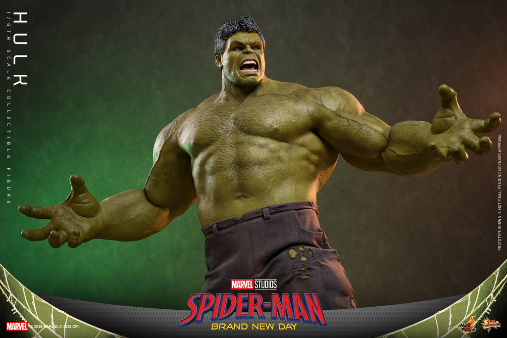 Hot Toys Hulk (Spider-Man: Brand New Day) 1/6 Scale Action Figure
