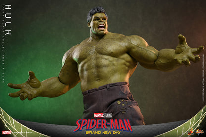 Hot Toys Hulk (Spider-Man: Brand New Day) 1/6 Scale Action Figure