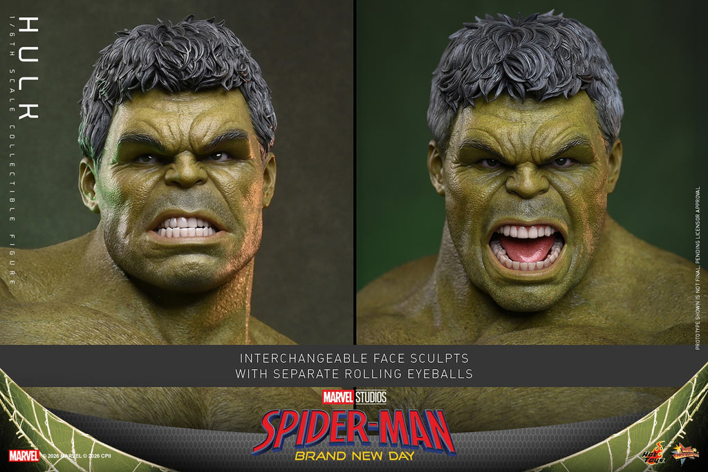 Hot Toys Hulk (Spider-Man: Brand New Day) 1/6 Scale Action Figure