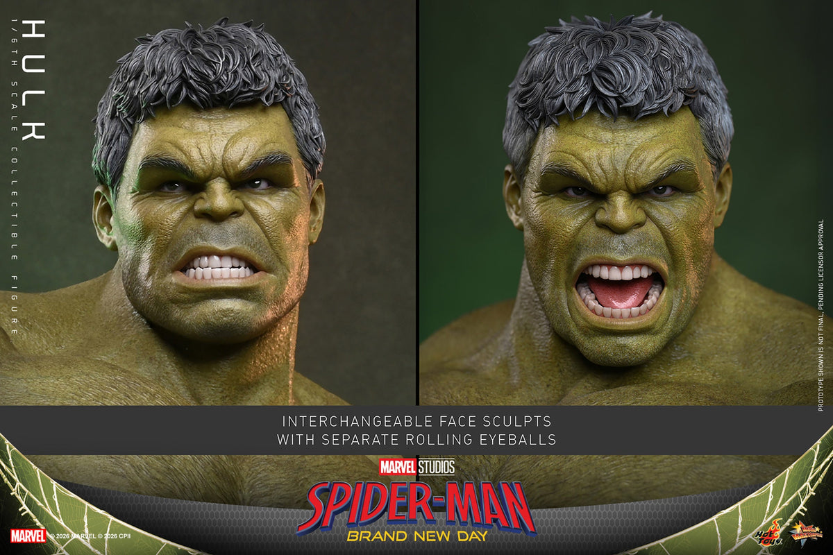 Hot Toys Hulk (Spider-Man: Brand New Day) 1/6 Scale Action Figure